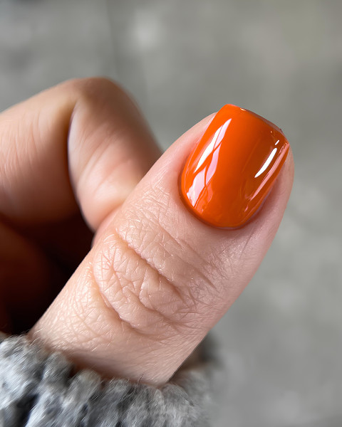 DARK Gel Polish 099, 10 мл