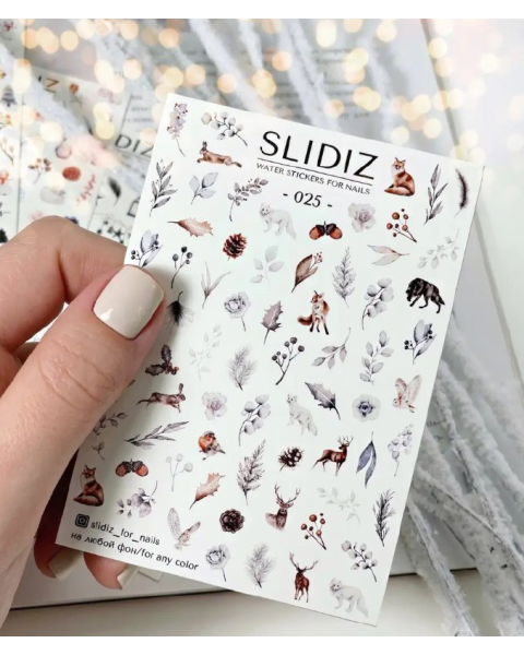 Слайдер дизайн SLIDIZ №025