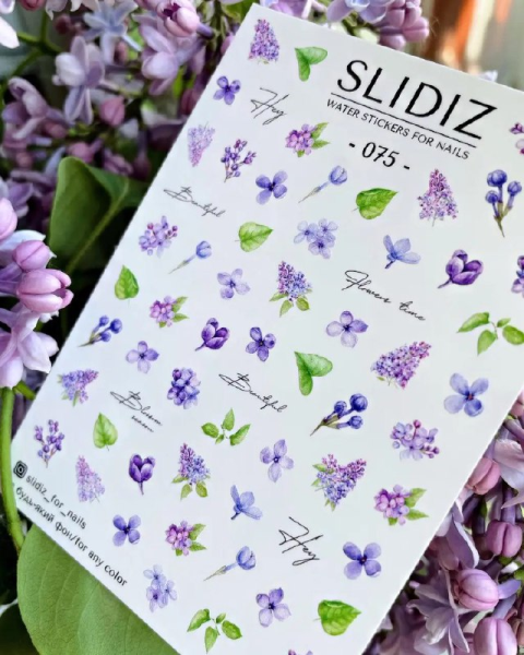 Слайдер дизайн SLIDIZ №075