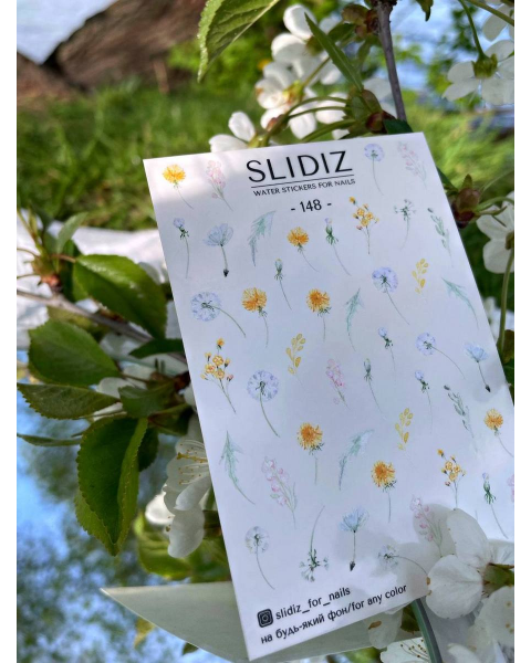 Design slider SLIDIZ №148