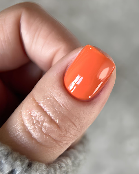DARK Gel Polish 098, 6 мл